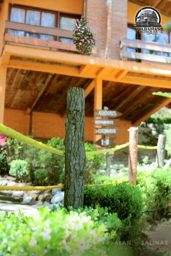 Cabanas Los Bosques Del Zembo Huasca de Ocampo Eksteriør bilde