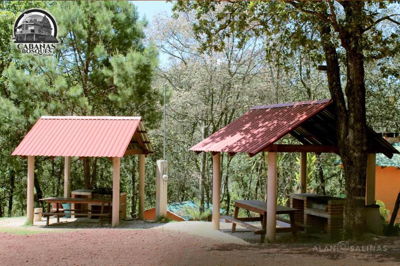 Cabanas Los Bosques Del Zembo Huasca de Ocampo Eksteriør bilde