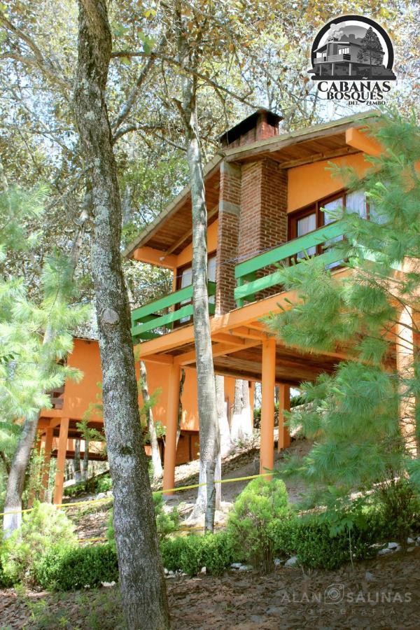 Cabanas Los Bosques Del Zembo Huasca de Ocampo Eksteriør bilde