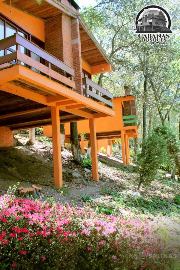 Cabanas Los Bosques Del Zembo Huasca de Ocampo Eksteriør bilde
