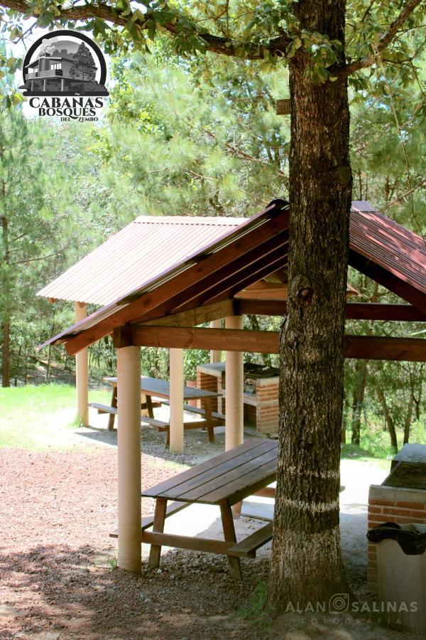 Cabanas Los Bosques Del Zembo Huasca de Ocampo Eksteriør bilde