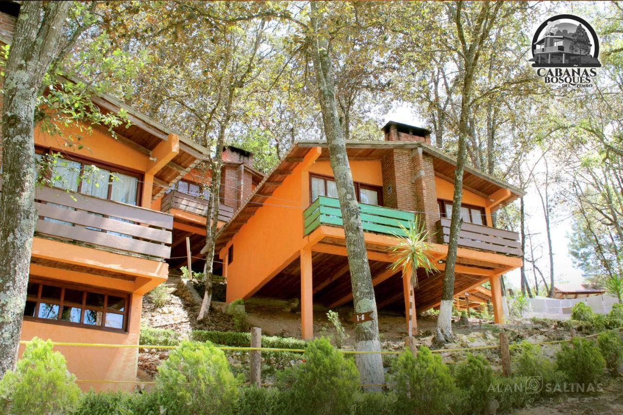 Cabanas Los Bosques Del Zembo Huasca de Ocampo Eksteriør bilde