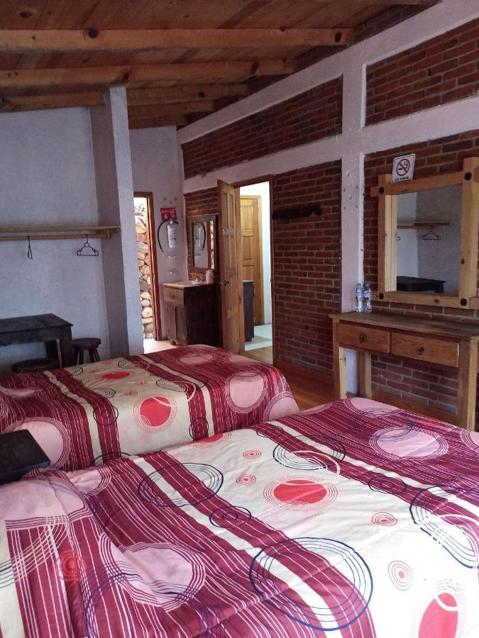 Cabanas Los Bosques Del Zembo Huasca de Ocampo Eksteriør bilde
