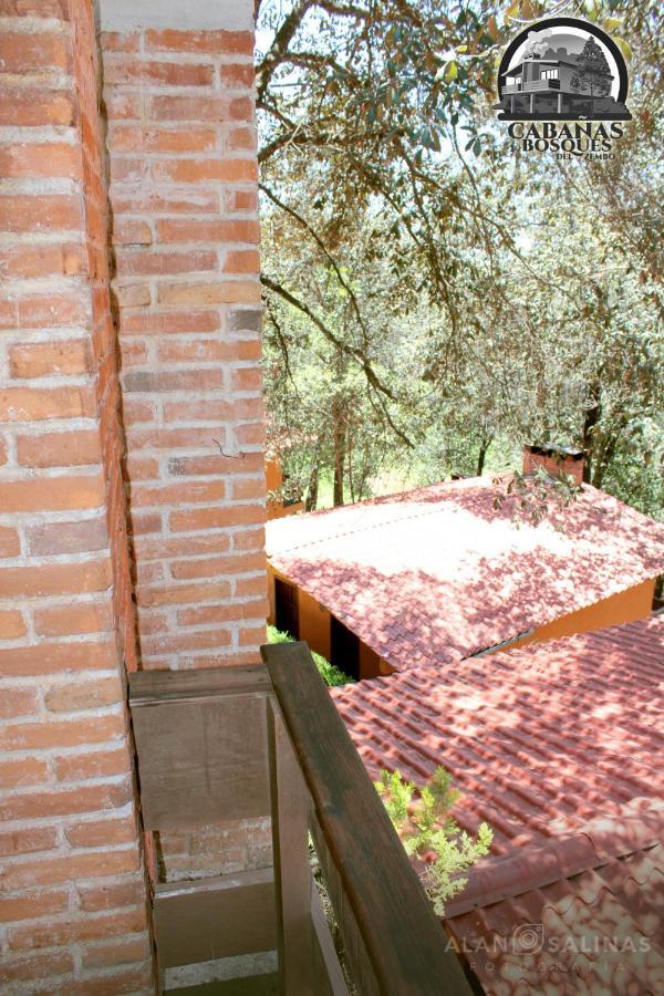 Cabanas Los Bosques Del Zembo Huasca de Ocampo Eksteriør bilde