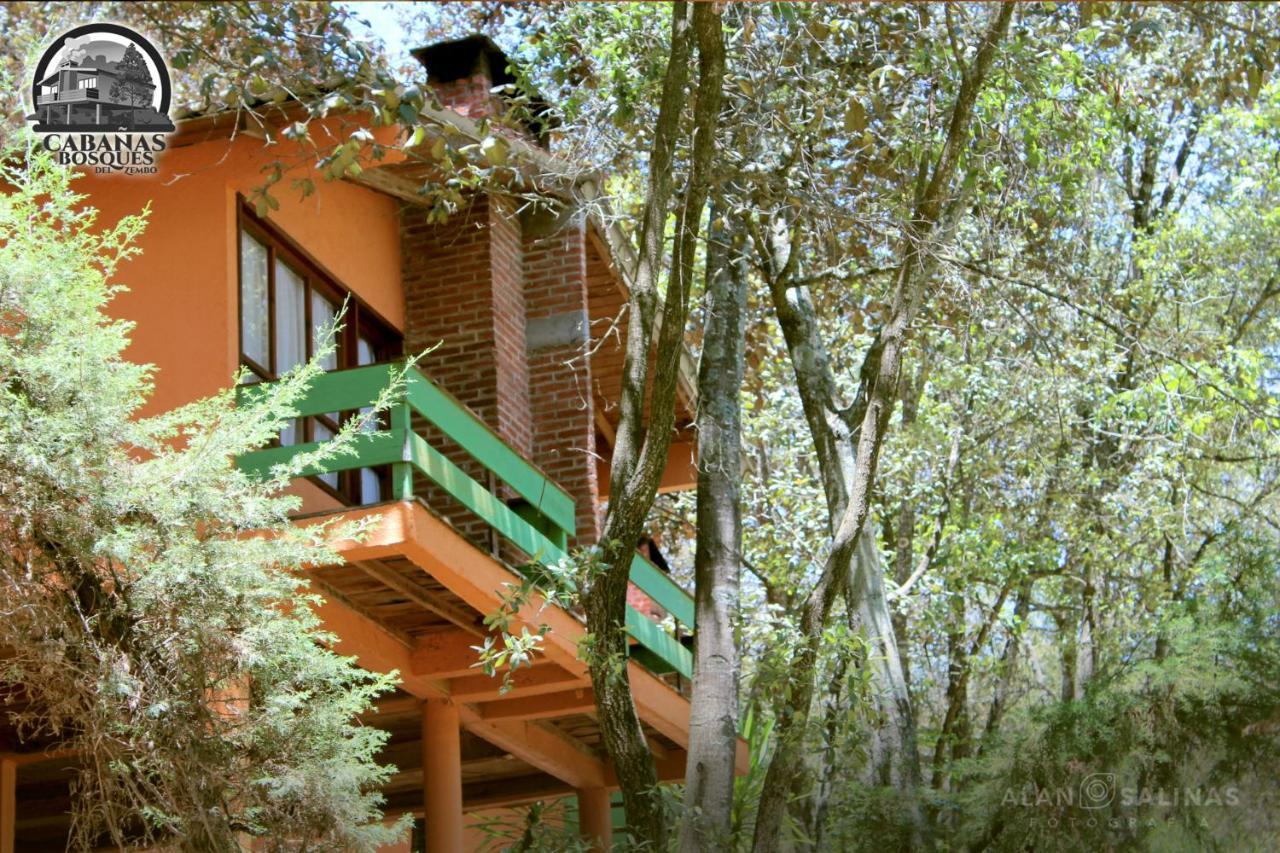 Cabanas Los Bosques Del Zembo Huasca de Ocampo Eksteriør bilde