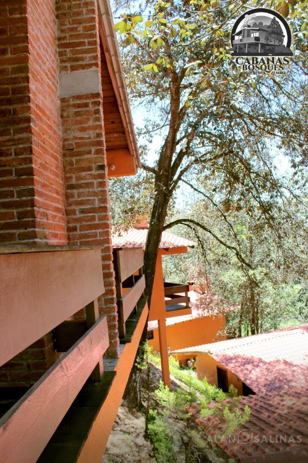 Cabanas Los Bosques Del Zembo Huasca de Ocampo Eksteriør bilde
