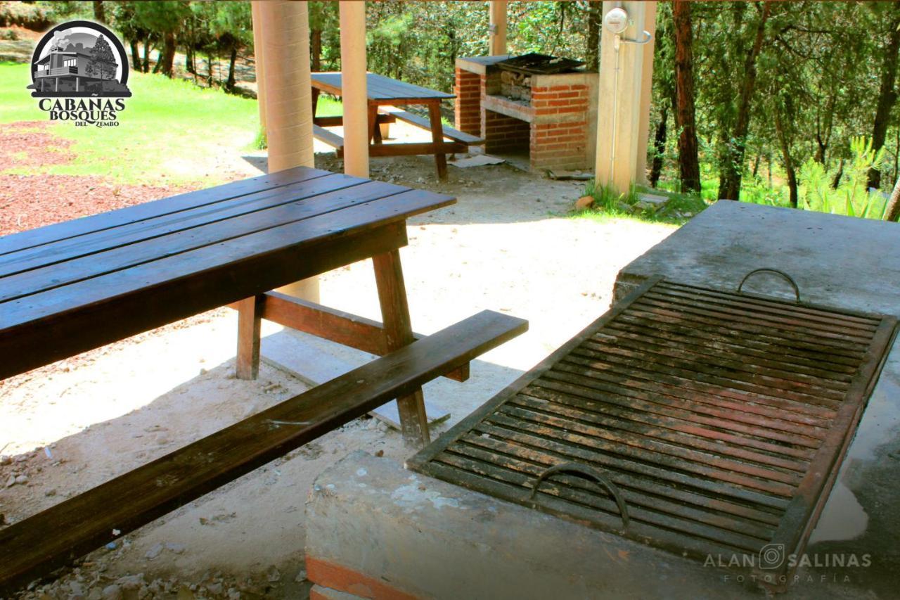 Cabanas Los Bosques Del Zembo Huasca de Ocampo Eksteriør bilde
