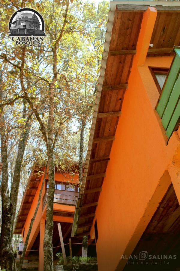 Cabanas Los Bosques Del Zembo Huasca de Ocampo Eksteriør bilde