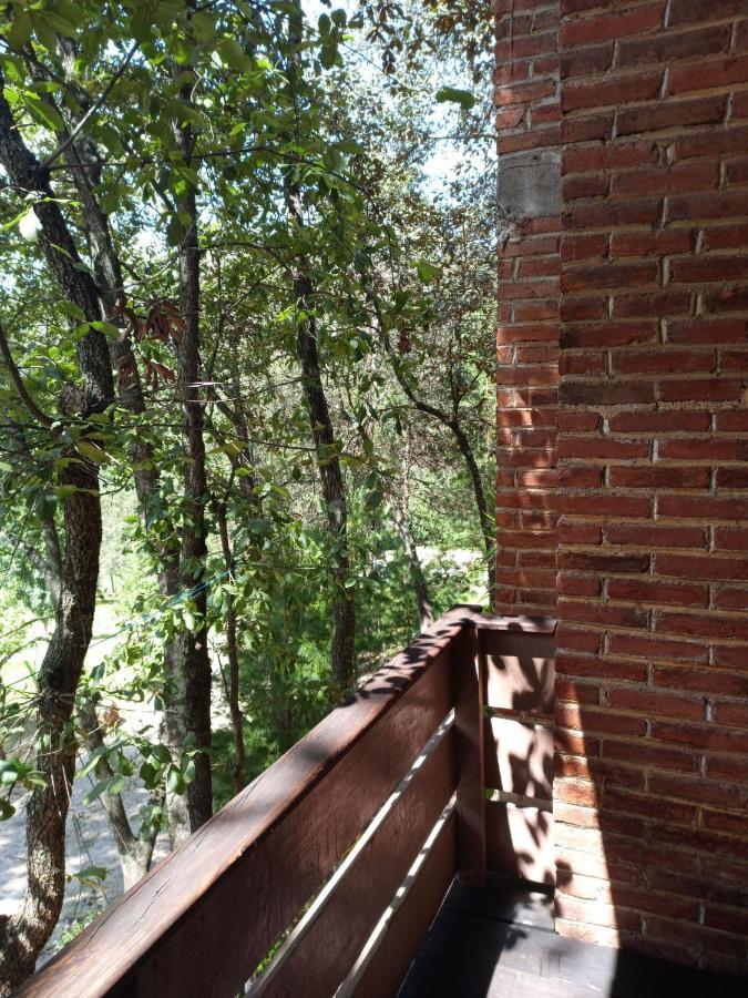 Cabanas Los Bosques Del Zembo Huasca de Ocampo Eksteriør bilde
